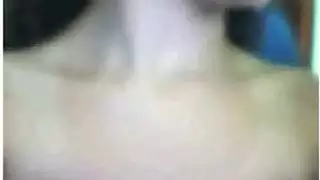 صدرها شطور