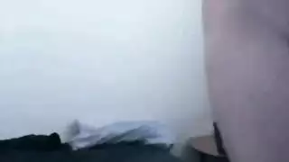 سكسي اكلاب حيوانت