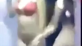 سكس بنات شيميل ويب كام