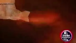 دانا المصرية الجديد