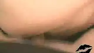 الأكثر مشاهدة أفلام إباحية لحوامل مشاهد تربية قاسية