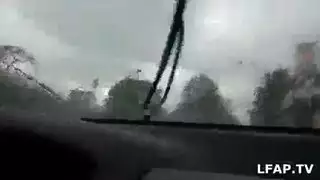اطول بظر جنسي