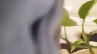 شواطئ العري في امريكاسكس امي بتبعبص ابنها