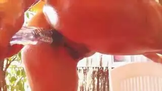 أرنوبة النادي الرياضية النحيلة تُدمر بقضيب صلب ضخم