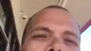 سيئة الدب البني يحصل زوجته خطيئة معاقبة الديك