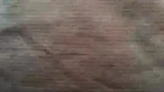 مشاهد نيك صريحة