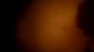 لاتيني الفرنسية الكلبة