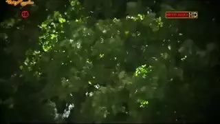 كسر مورجان: تدريب شرجي عنيف وتدريب الحلق