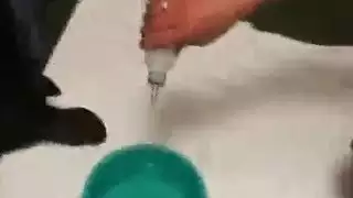 افلام انيك اكس