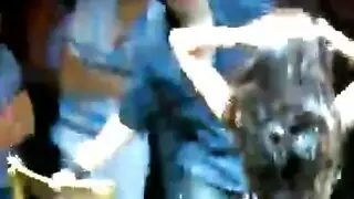 اصغرسحقات