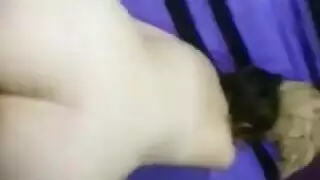 هايجه علي الحرامي