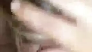 الديك الأسود طويل رباعية
