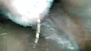 رجل ينك بقر سكس