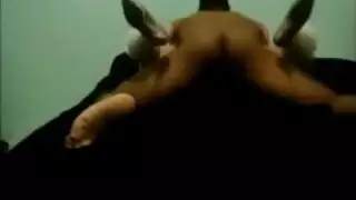 مشهد قرد يضرب شرجياً
