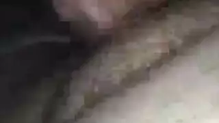 دهون اسيوي
