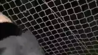 سكس حراري صغيره مراهقة