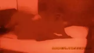 سكس اراف كبيرة
