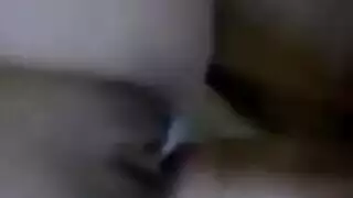 أحزمة الرباط أسد امريكي شاب سمين