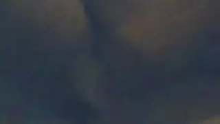 وفائ عامر