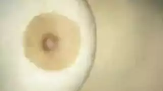 ایه الجی