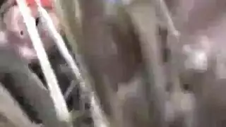 سكس نزهات فالغابة