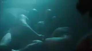 مبتور اليد حمار أمريكي
