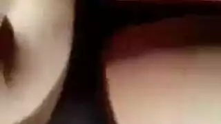 مفلس الآسيوية قفص بديع