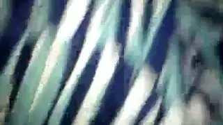 إيلاج مزدوج من أولاد جميلين وفتاة ممتلئة