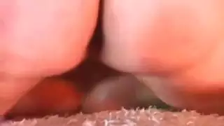 حمّل الآن: كلاب شقراوات عاريات في أوضاع حركة إكس إكس إكس