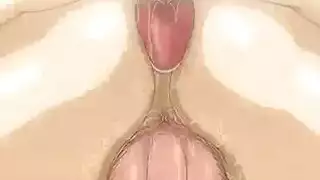 سكويزي