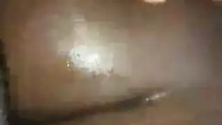 الانسان مع حيوان