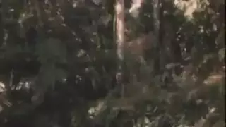 كاثي هيفن مع داني