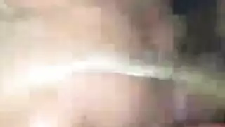 نيكولينا