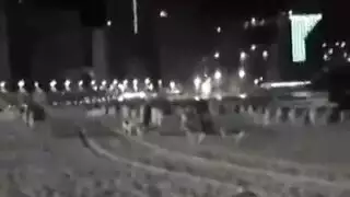 عاهرة مثارة تنتشر في الحديقة إكس إكس إكس