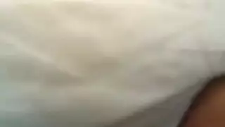 مولي قط الاسود