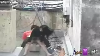 مقطع فيديو قديم المرأه كردية على سطح البيت في عشة الفراخ