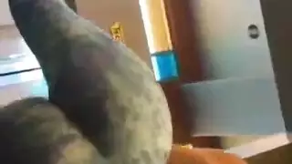 اطفال يلعبون في مس