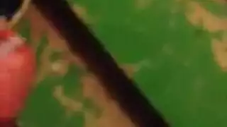 دالجد