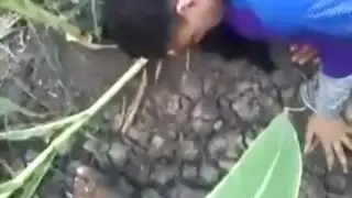 دانيا مصرية سكس