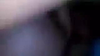 تحميل فيدي سكيس