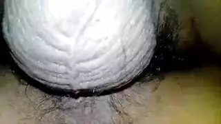 نيكوتقفيشالبزاز