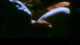أريد مشاهدة فيديو يوغا