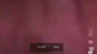 ديك مارا سامينا
