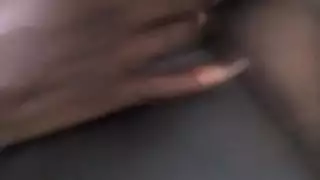 فحل من الخرطوم