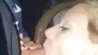 عاهرتان تقبلان ويفركان كساتهما معًا
