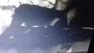 زب يحفر كسها بقوة وعمق