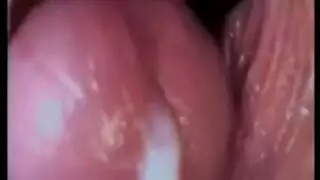 هذه الهرة الجميلة لم تستطع الانتظار لقضيبي