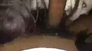 الهرة مشعر مطبخo1a1m4gpycwn