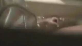 كس زهري تنتاكث