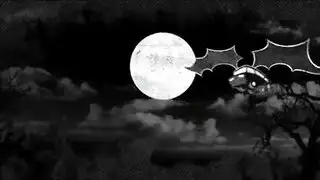 سوداني ابو زب كبير جدن ضخم